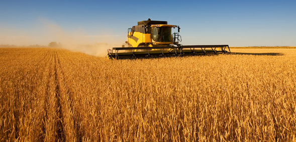 2022 р. Фермерське господарство, Київська обл. 